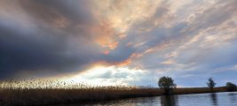 IMG_20250413_170237.jpg