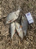 IMG_0192.jpeg