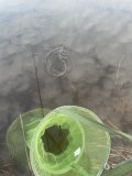 IMG_0190.jpeg