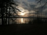 IMG_20230415_190455.jpg