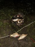 IMG_0464.jpg