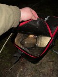 IMG_0465.jpg