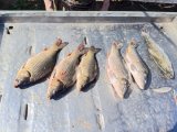 IMG_20250422_190904_718.jpg