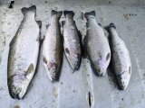 IMG_20250422_190857_992.jpg