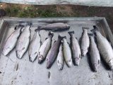 IMG_20250422_190857_428.jpg