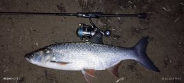 IMG_20250422_195100.jpg