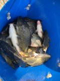 IMG_8910.jpeg