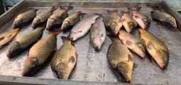 IMG_20250423_191751_753.jpg
