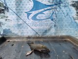 IMG_20250423_190512_571.jpg