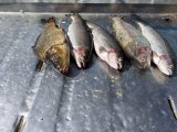IMG_20250423_183537_097.jpg