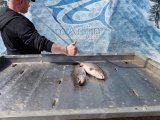 IMG_20250423_183536_336.jpg