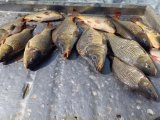 IMG_20250423_183536_684.jpg