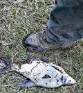 IMG_20250423_210203.jpg