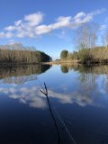 IMG_2954.jpeg
