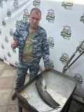 IMG_2075.jpeg