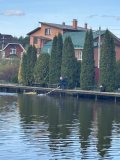 IMG_2056.jpeg