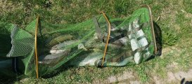 IMG_20250424_192028_661.jpg