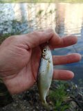 IMG_20250424_173342.jpg