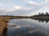 IMG_20250422_182354.jpg