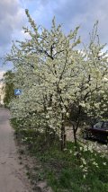 IMG_20250423_190031_512.jpg