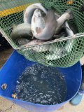 IMG_0939.jpeg
