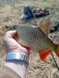 IMG_20250423_105325_844.jpg