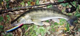 IMG_20241108_220412.jpg