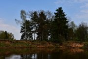 DSC_3401.JPG