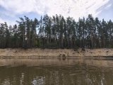 IMG_20250423_122010.jpg