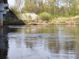 IMG_20250423_130633.jpg