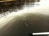 IMG_20250423_174018.jpg