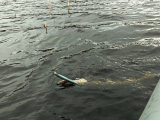 IMG_20250423_162834.jpg