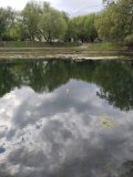 IMG_20250425_140628.jpg