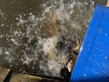 IMG_9548.jpeg