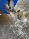 IMG_9532.jpeg
