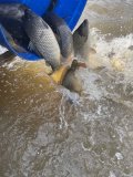 IMG_9533.jpeg