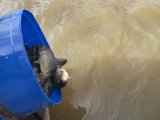 IMG_9531.jpeg