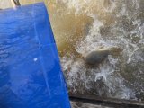 IMG_9527.jpeg