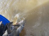 IMG_9524.jpeg