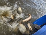 IMG_9494.jpeg