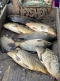 IMG_9629.jpeg