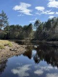 IMG_0462.jpeg