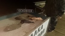 1b25c084-b29d-4f54-9ac4-eab0a4c9035f.jpeg