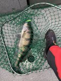 IMG_5195.jpeg
