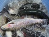 IMG_3002.jpeg