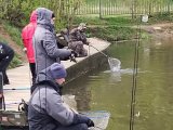 e113597f-e25c-40cf-b300-63941ef0f1e7.jpeg