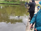 2466f069-4c10-4101-ba9b-460396cbb178.jpeg