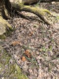IMG_20250426_100332.jpg
