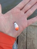 IMG_20250426_083019.jpg