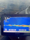 IMG_20250416_063858_172.jpg